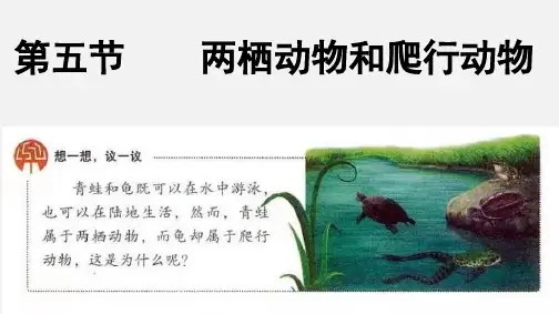两栖动物和爬行动物ppt课件