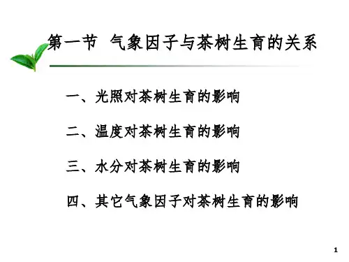 第三章-茶树的适生环境PPT课件