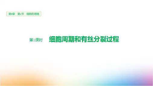 高中生物必修1优质课件 6.1.1 细胞周期和有丝分裂过程