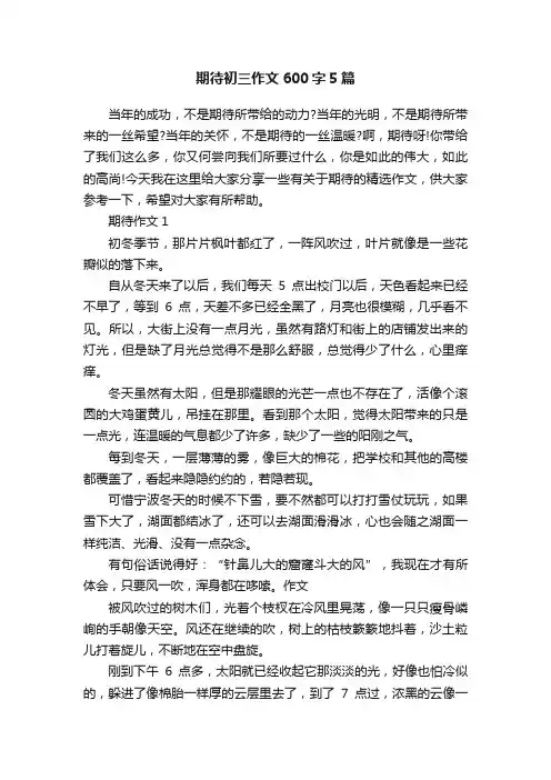 期待初三作文600字5篇