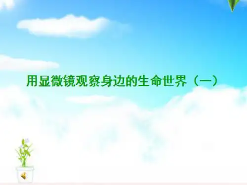 六年级下册科学课件-1.5用显微镜观察身边的生命世界教科版  (共25张PPT)