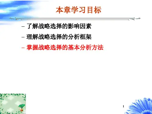 第7章战略选择的方法