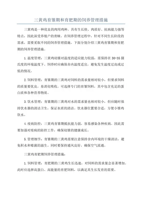 三黄鸡育雏期和育肥期的饲养管理措施