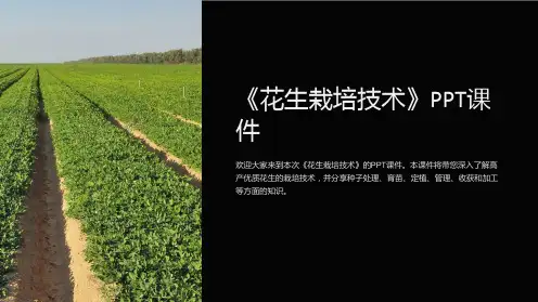 《花生栽培技术》课件