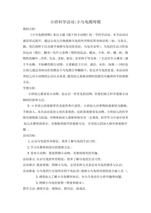 小班科学活动 小乌龟爬呀爬