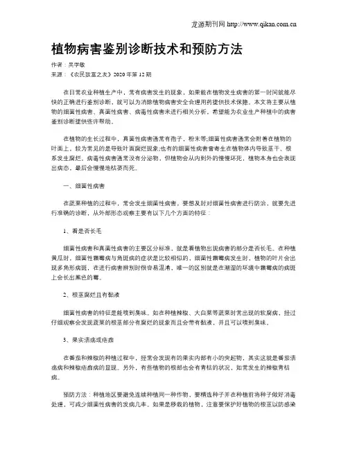 植物病害鉴别诊断技术和预防方法