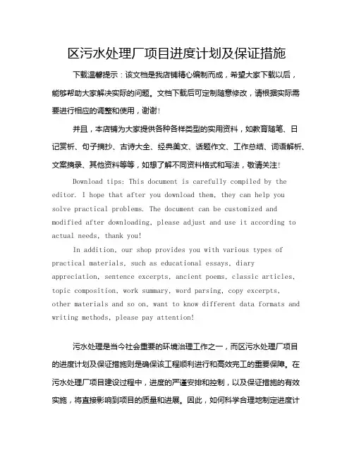 区污水处理厂项目进度计划及保证措施