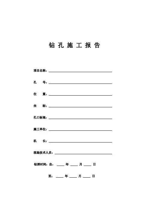 水文地质钻孔编录表格(全套)