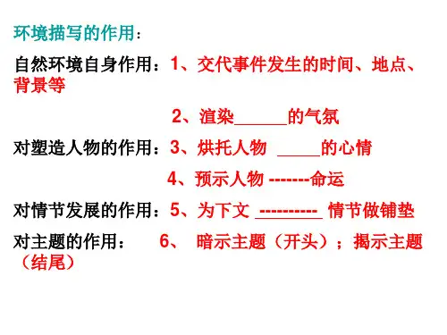 小说环境描写作用