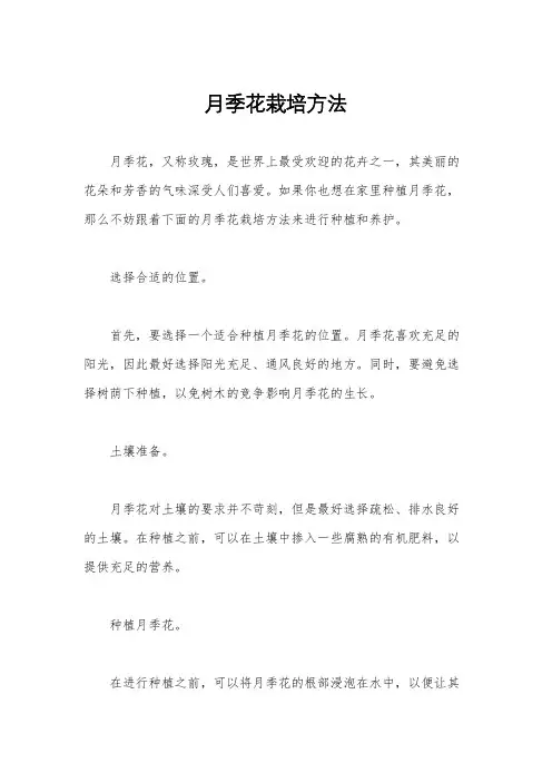 月季花栽培方法