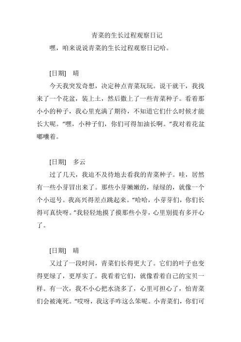 青菜的生长过程观察日记
