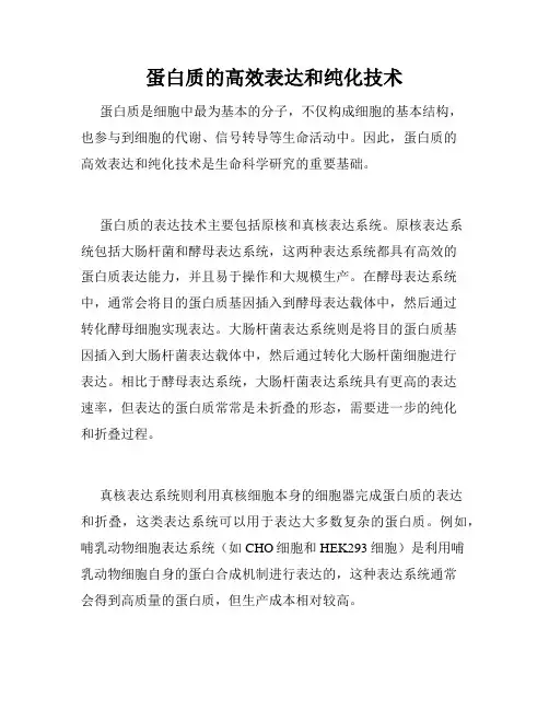 蛋白质的高效表达和纯化技术