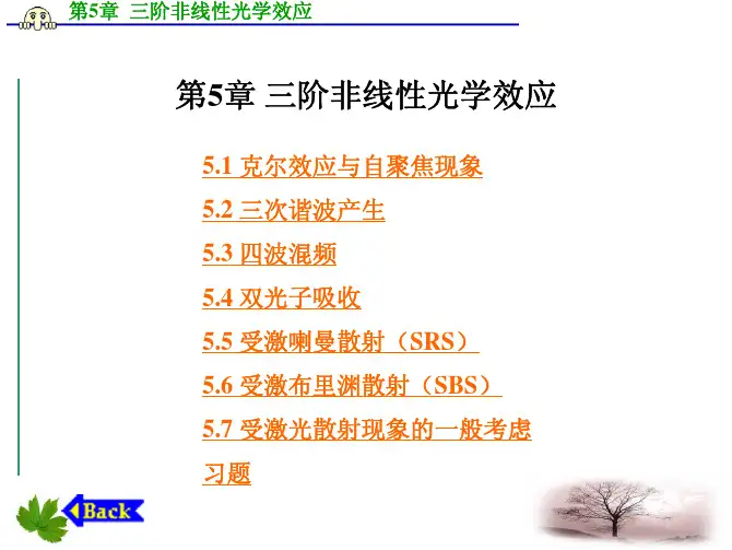第五章++三阶非线性光学效应11