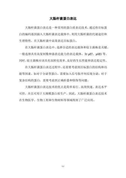 大肠杆菌蛋白表达