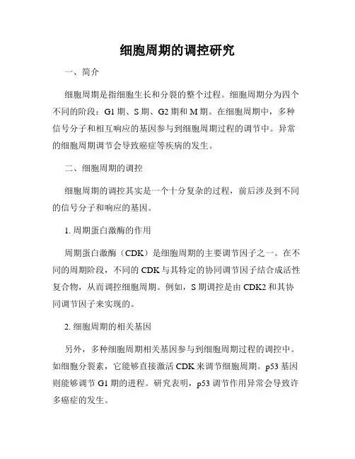 细胞周期的调控研究