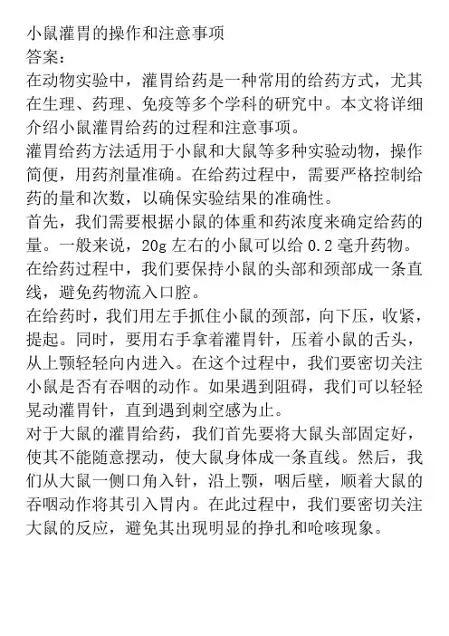 小鼠灌胃的操作和注意事项