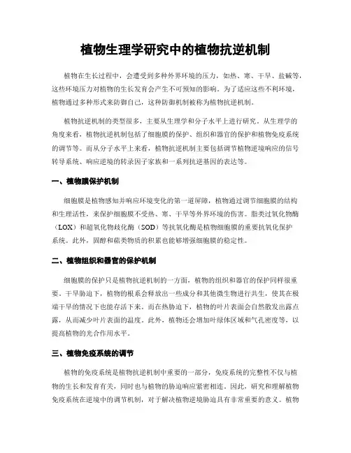 植物生理学研究中的植物抗逆机制