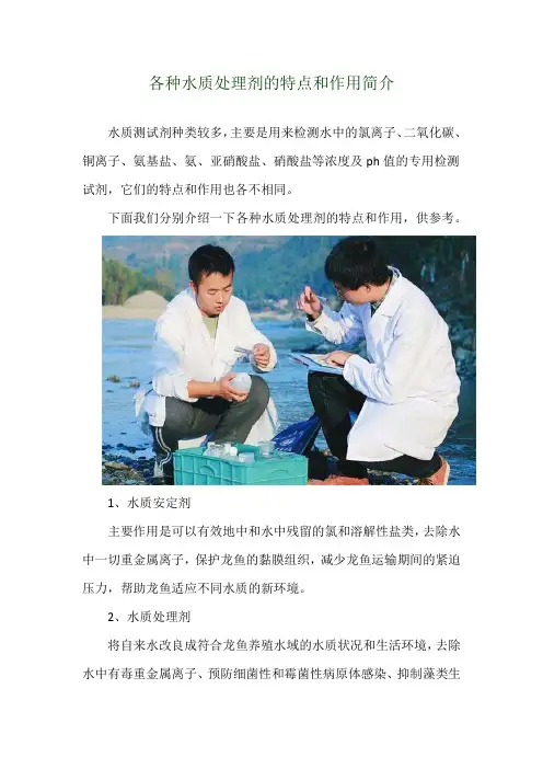 各种水质处理剂的特点和作用简介