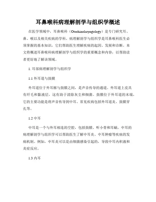 耳鼻喉科病理解剖学与组织学概述