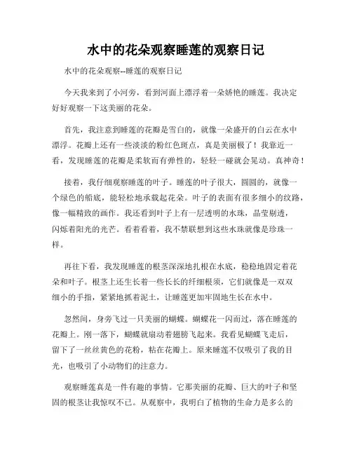 小学三年级作文水中的花朵观察睡莲的观察日记