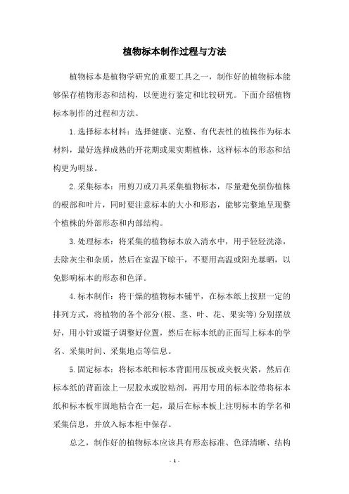植物标本制作过程与方法
