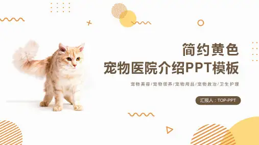 简约宠物医院介绍PPT