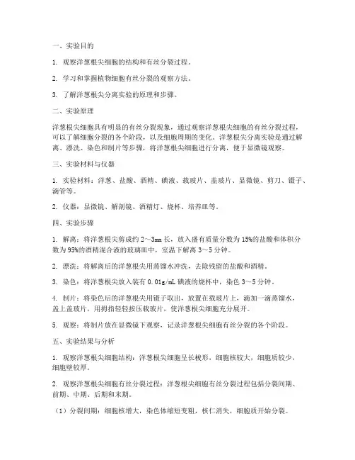 洋葱根尖分离实验报告