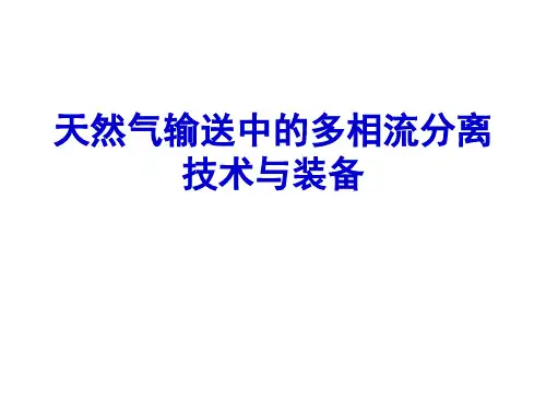 天然气过滤分离器-课件