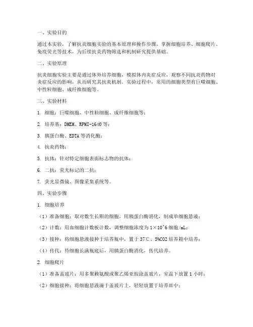 抗炎细胞实验操作步骤