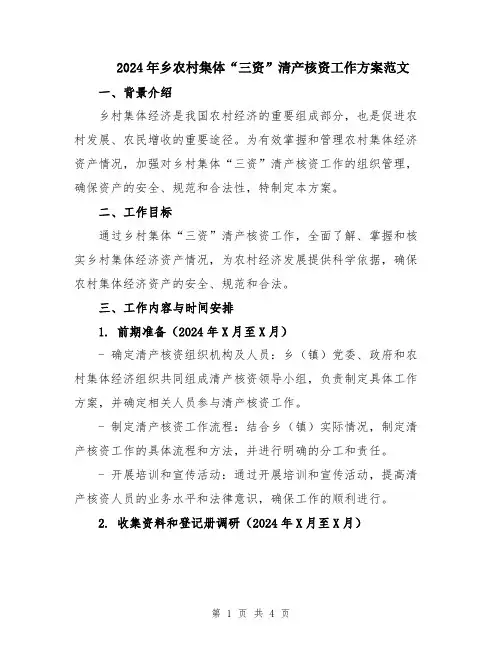 2024年乡农村集体“三资”清产核资工作方案范文