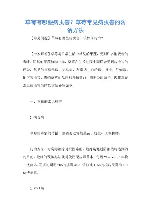 草莓有哪些病虫害？草莓常见病虫害的防治方法