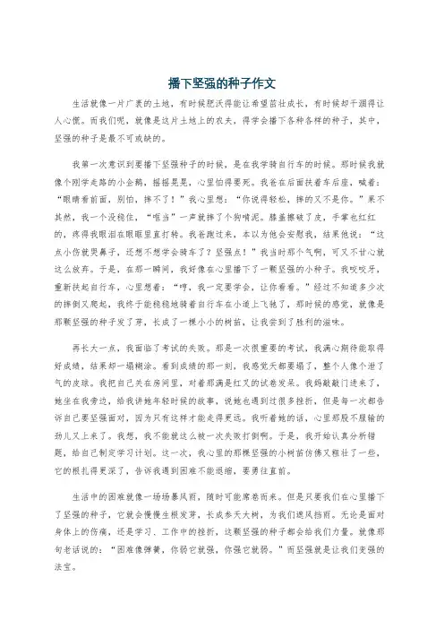 播下坚强的种子作文