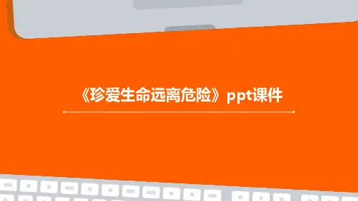 《珍爱生命远离危险》课件