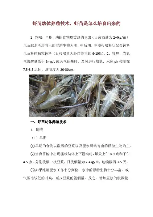 虾苗幼体养殖技术,虾苗是怎么培育出来的