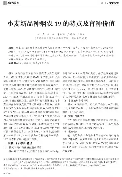 小麦新品种烟农19的特点及育种价值