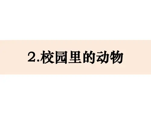 【教科版】校园里的动物PPT课件1