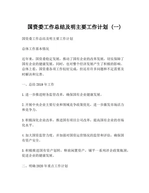 国资委工作总结及明主要工作计划 (一)