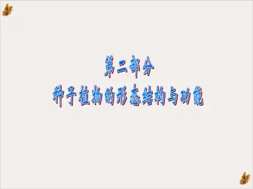 根的形态结构与功能ppt课件