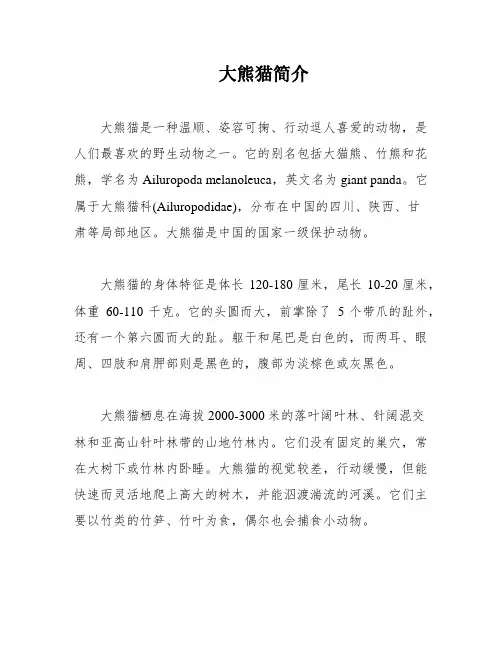 大熊猫简介