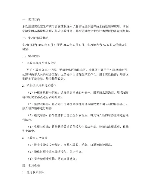 组培实验室生产实习报告