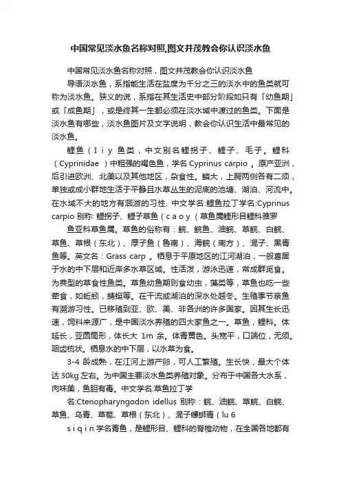 中国常见淡水鱼名称对照,图文并茂教会你认识淡水鱼