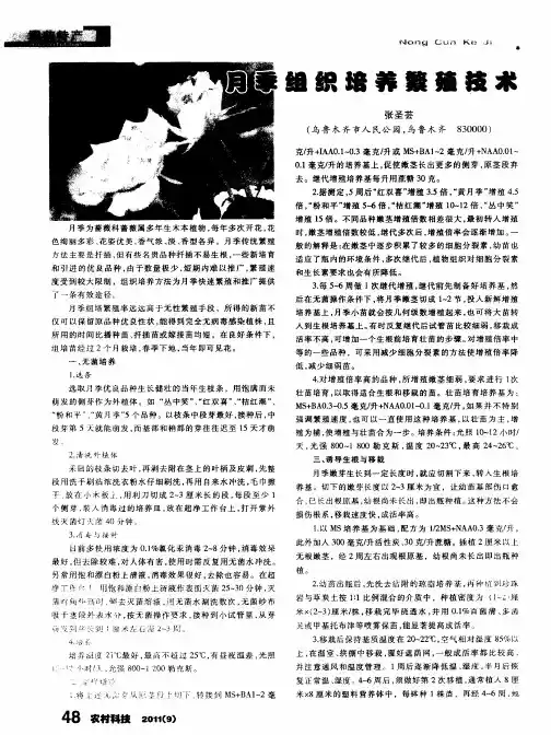 月季组织培养繁殖技术