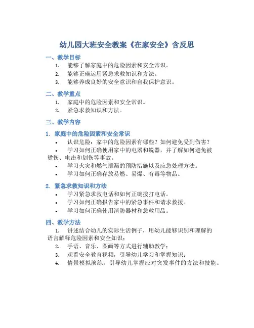 幼儿园大班安全教案《在家安全》含反思