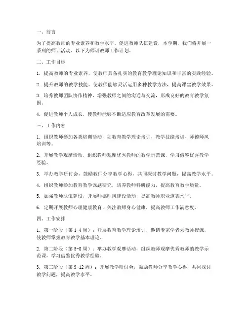 师训教师工作计划