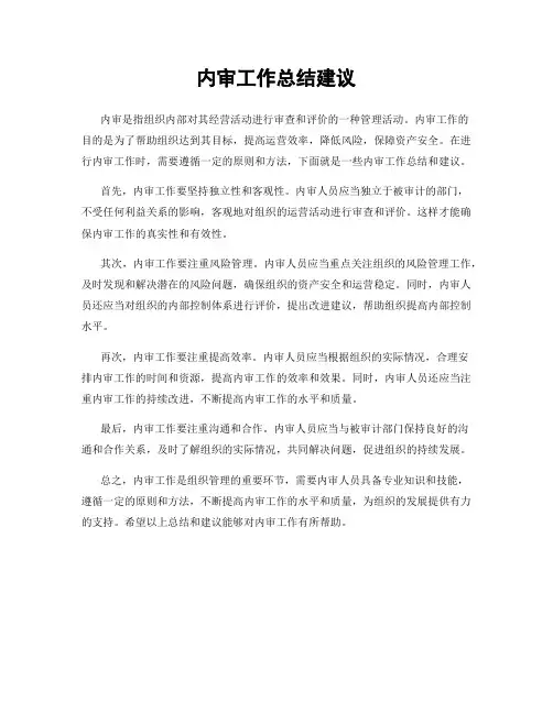 内审工作总结建议