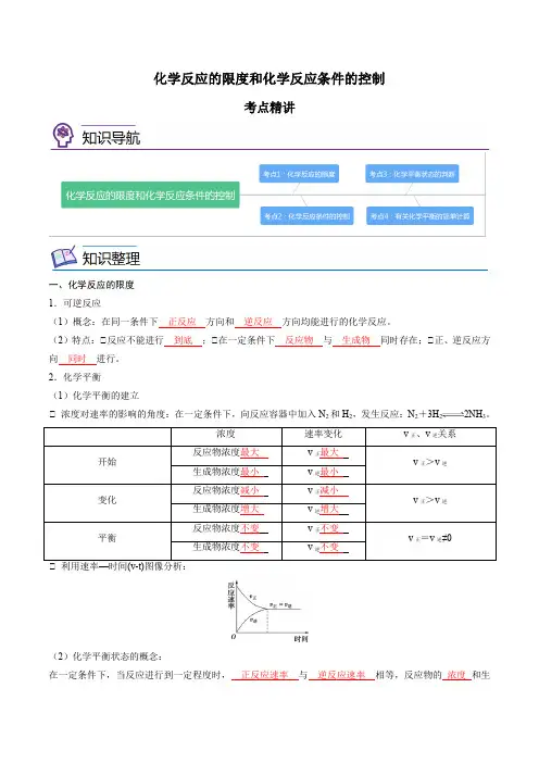 第10讲化学反应的限度和化学反应条件的控制-高一化学精讲精练(人教版2019必修第二册)