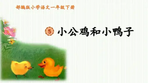 统编版一年级语文下册5《小公鸡和小鸭子》课件(共25张PPT)