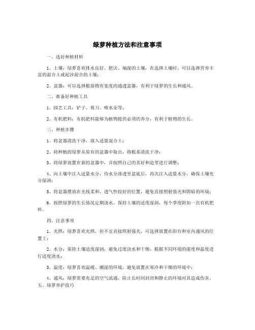 绿萝种植方法和注意事项