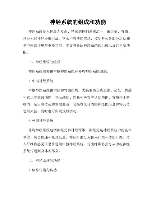 神经系统的组成和功能