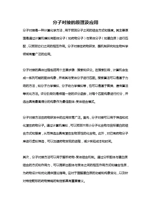 分子对接的原理及应用